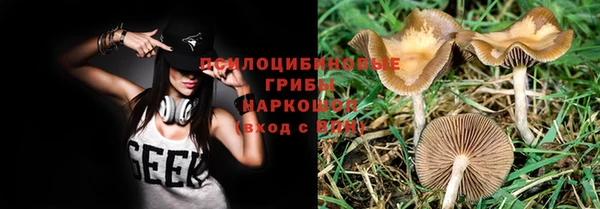 индика Вязники